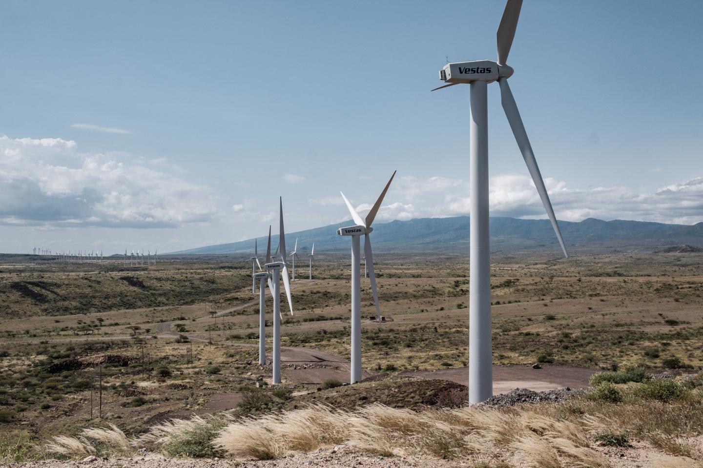 The Lake Turkana Wind Power project (LTWP) includes 365 wind turbines supplied by Danish Vestas and is one of the projects that Kenyan Ikal Ang'elei is fighting against.